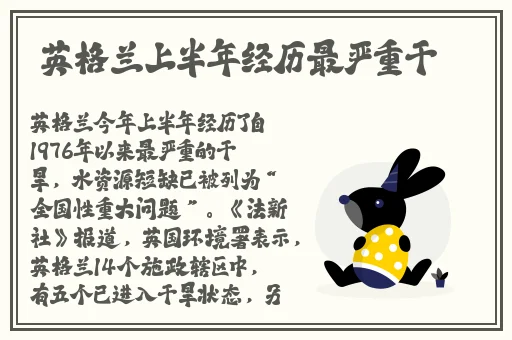 挽起裙子迈开腿坐上去c作文网页